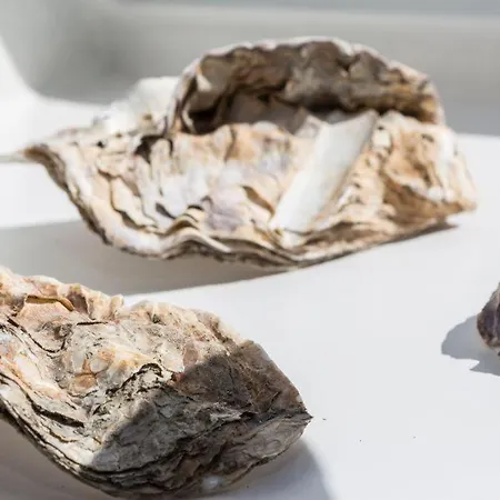 Haus Margaretheneck Whg 10 Apartament Westerland